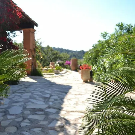 Maison Hyeres, 4 Pieces, 6 Personnes - Fr-1-335-138 *